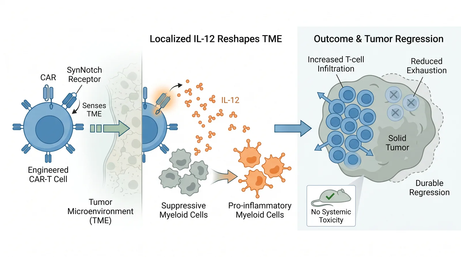 Graphical Abstract Examples That Got Published (With Analysis)